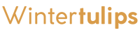 Logo Winter Tulips